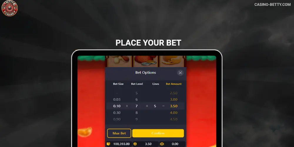 Step 3 – Secure Deposit – Fund Your Account via Interac
